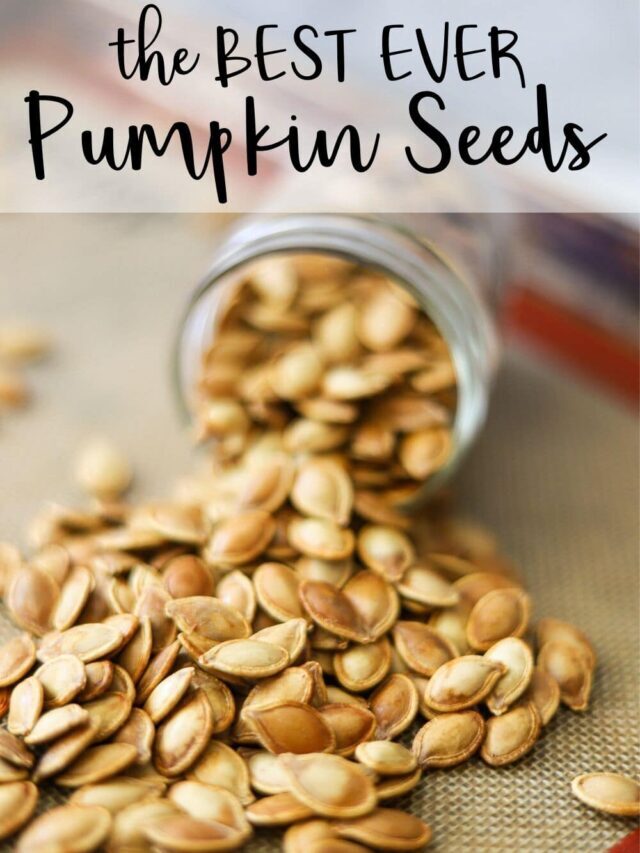 Roasted Pumpkin Seeds
