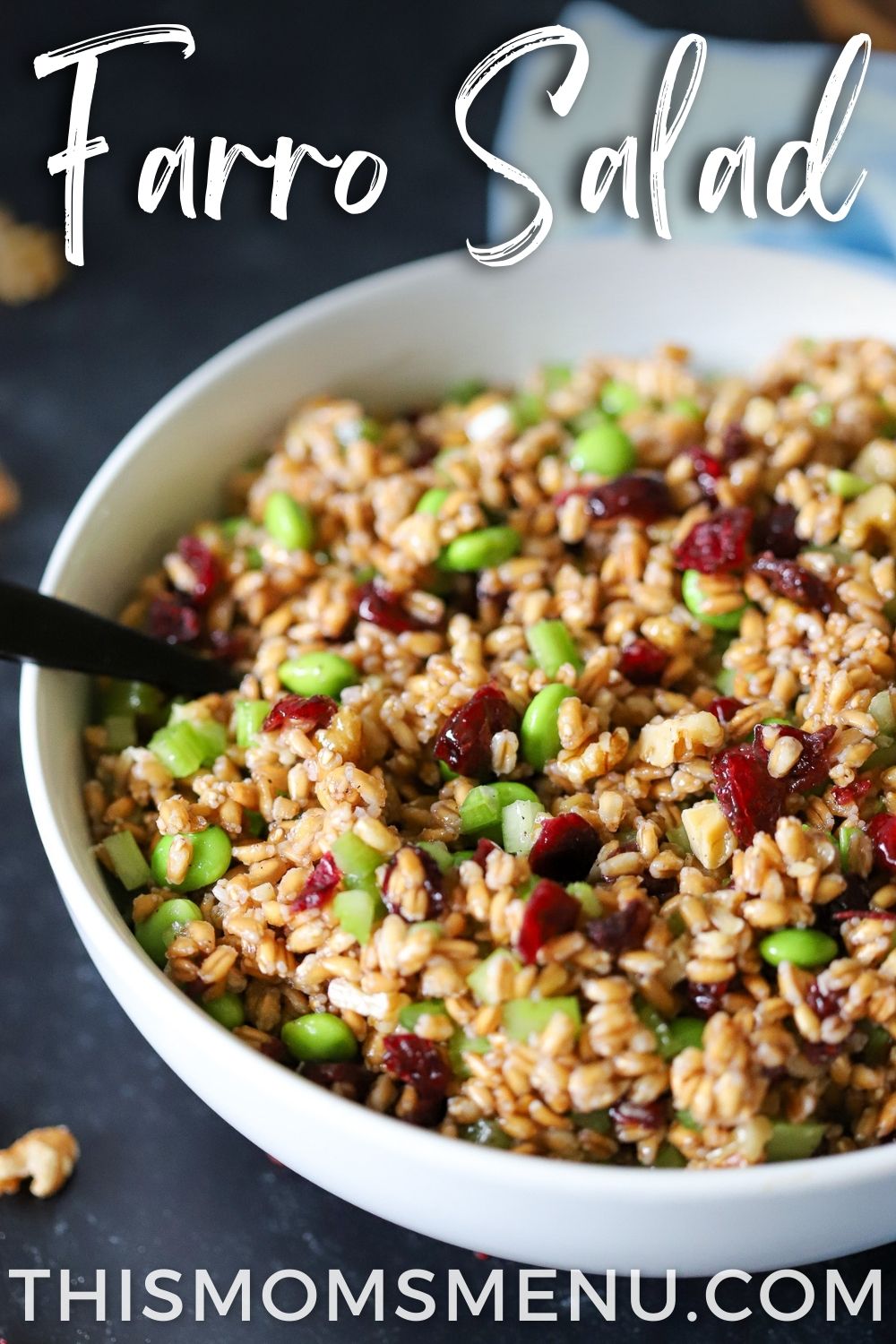 a white bowl of farro salad with cranberries, walnuts, and edamame. 