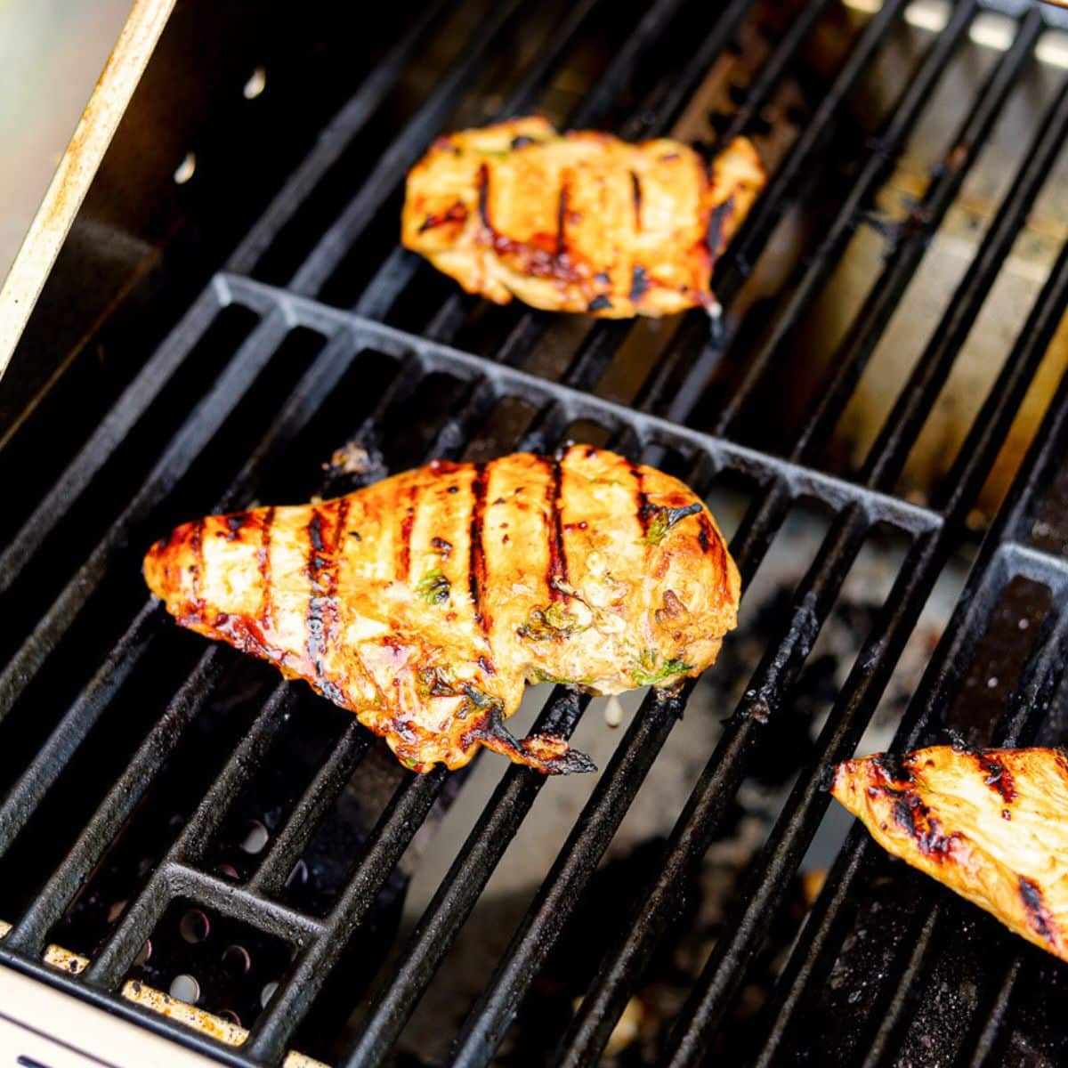 marinated chicken breast being cooking on a grill